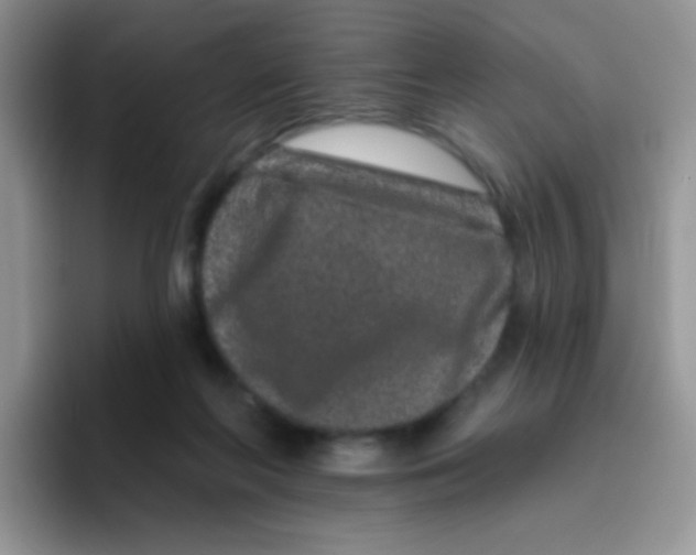 X0000095920214200802081120