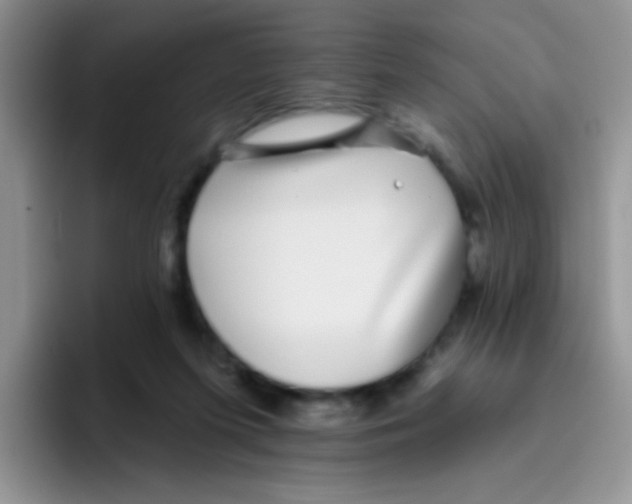 X0000095920215200802081120