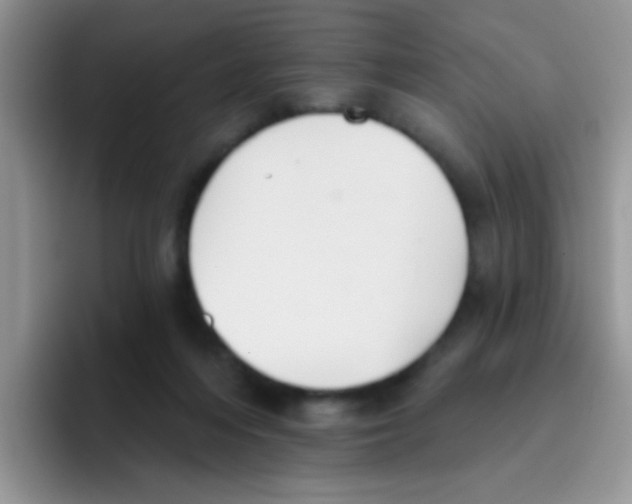 X0000095920216200802081120