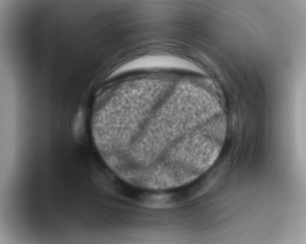 X0000095920217200802081120