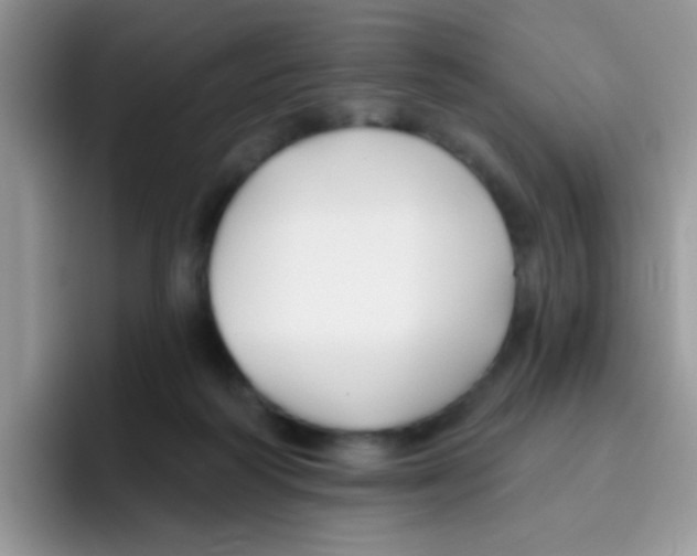 X0000095920218200802081120