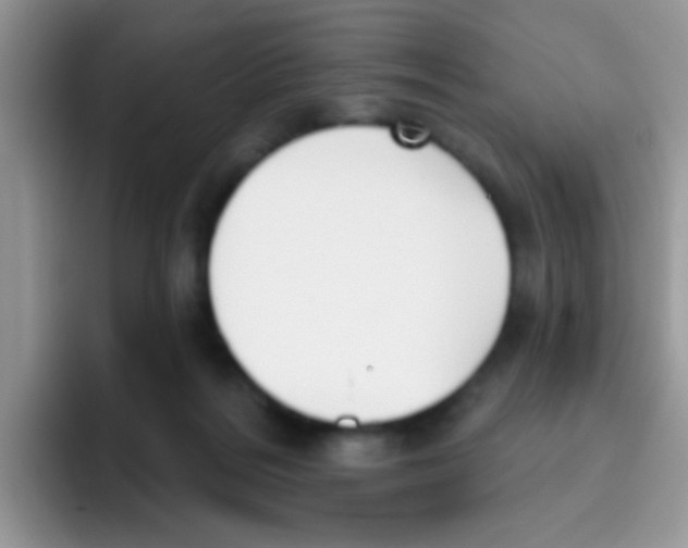 X0000095920220200802081120