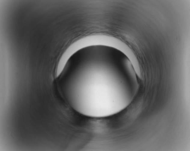 X0000095920221200802081120