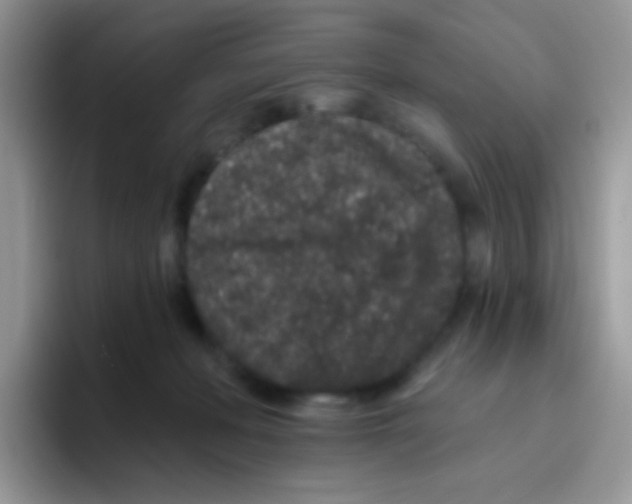 X0000095920222200802081120