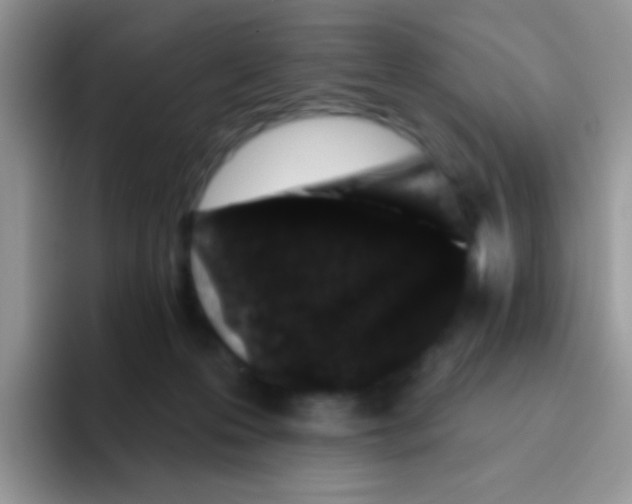 X0000095920223200802081120