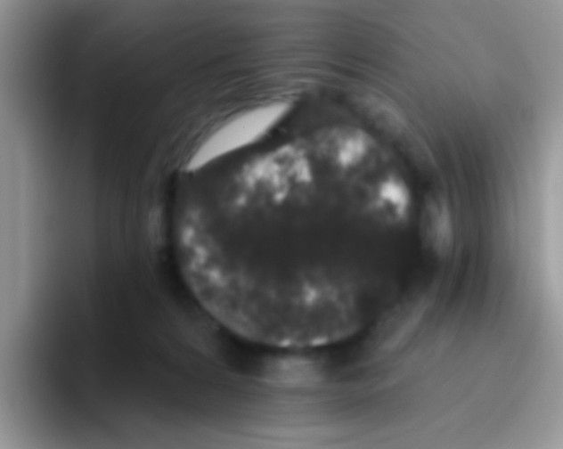 X0000095920224200802081120