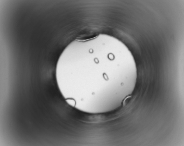 X0000095920225200802081120