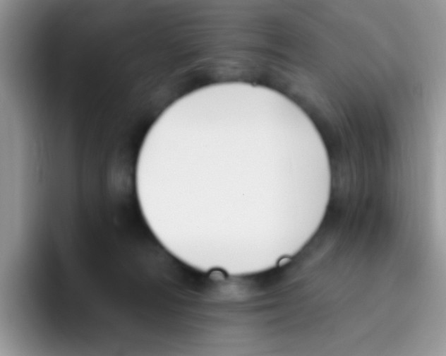 X0000095920226200802081119