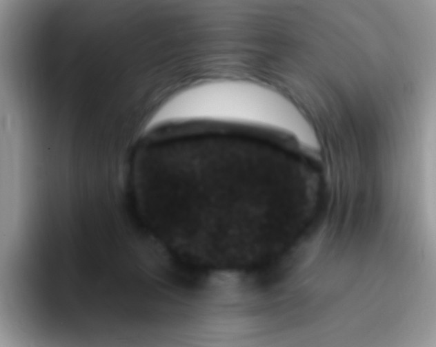 X0000095920227200802081119