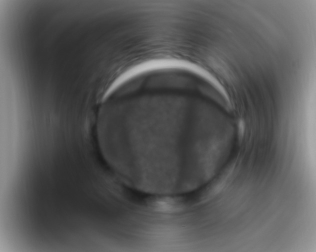 X0000095920229200802081119