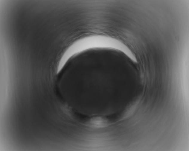 X0000095920231200802081119