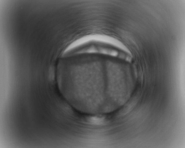 X0000095920232200802081119