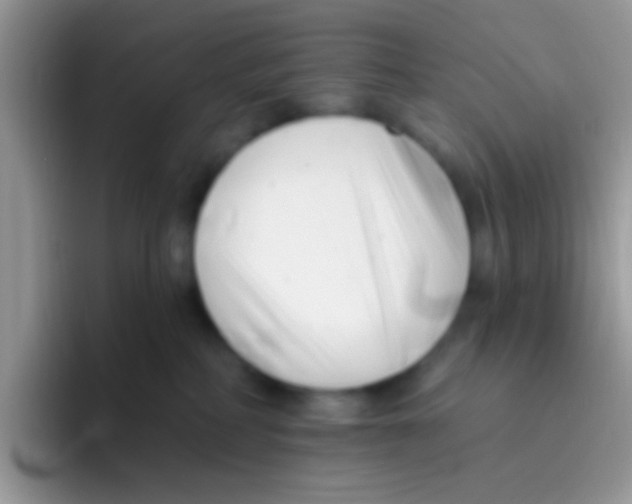 X0000095920234200802081119