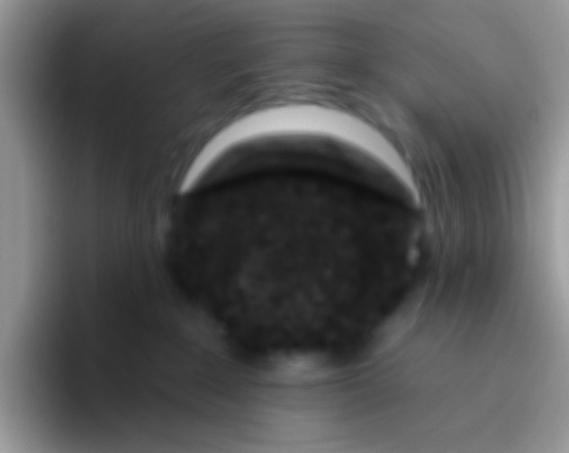 X0000095920235200802081119