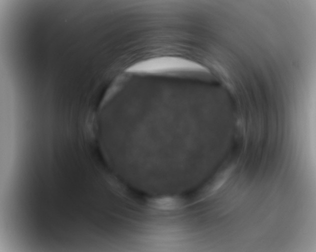 X0000095920237200802081119