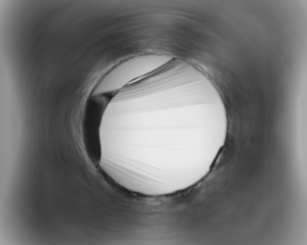 X0000095920241200802081119