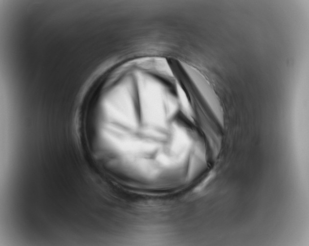 X0000095920244200802081119