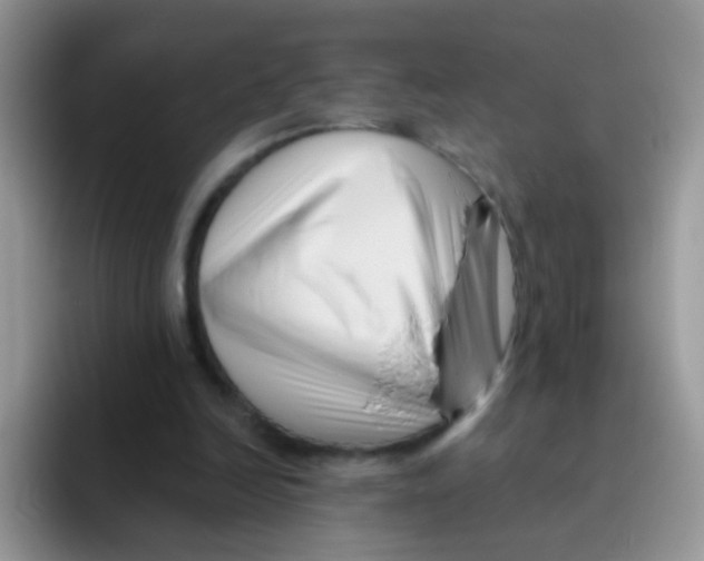 X0000095920246200802081119