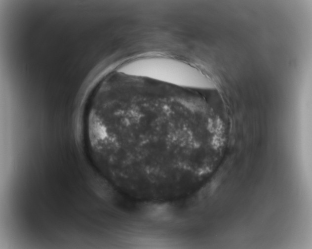 X0000095920247200802081119