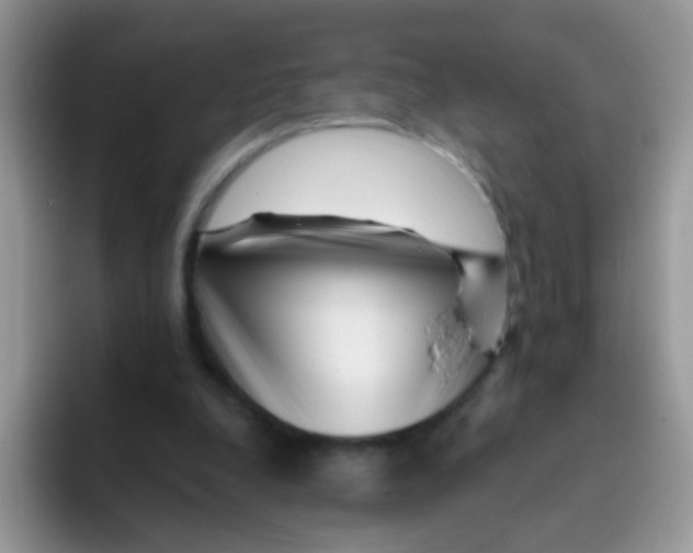 X0000095920248200802081119