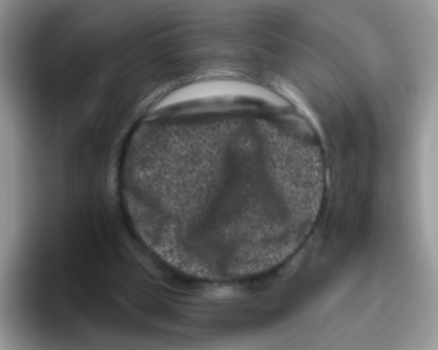 X0000095920249200802081119