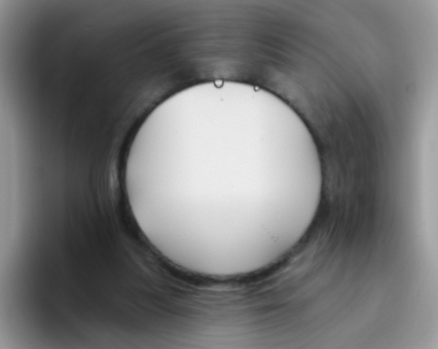 X0000095920251200802081119