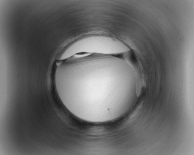 X0000095920252200802081119