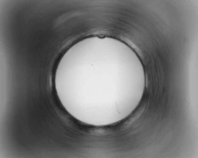 X0000095920253200802081119