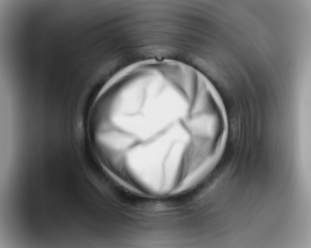 X0000095920254200802081119