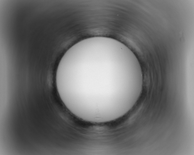 X0000095920255200802081119