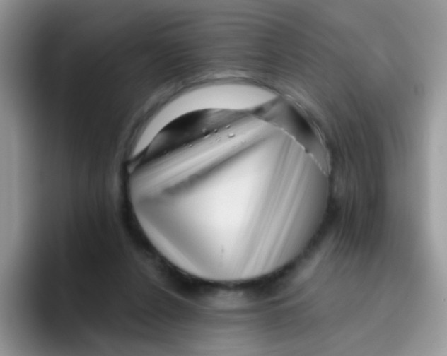 X0000095920256200802081119