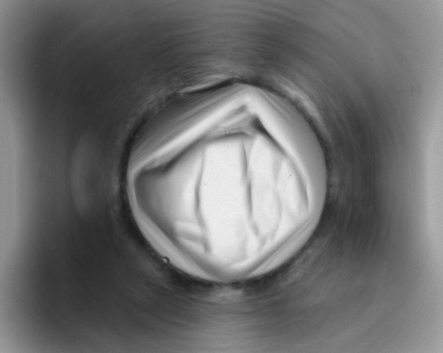 X0000095920257200802081119