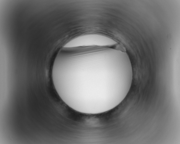 X0000095920258200802081119