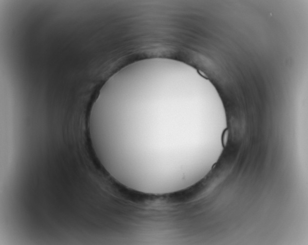 X0000095920259200802081119