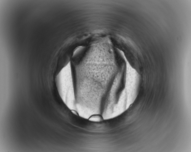 X0000095920260200802081119