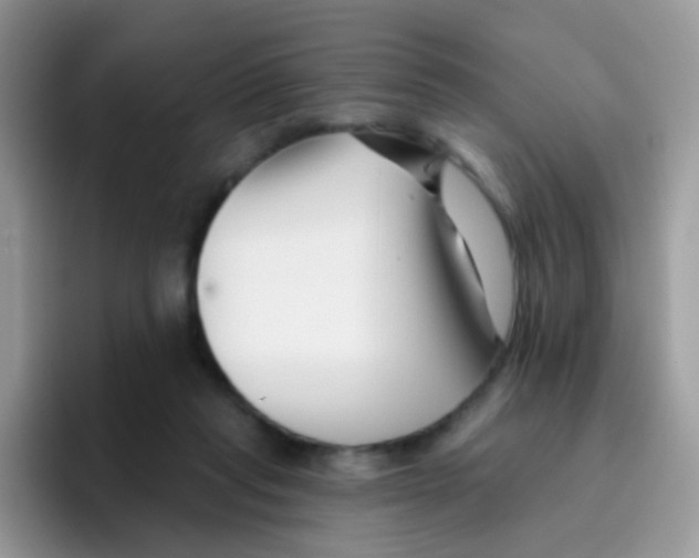 X0000095920261200802081119