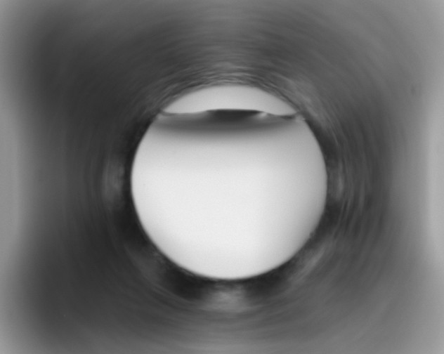 X0000095920263200802081119