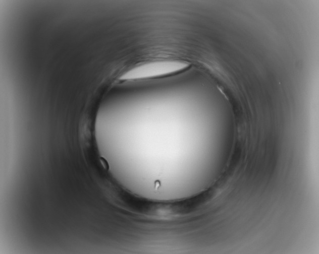 X0000095920264200802081119