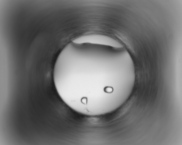 X0000095920265200802081119