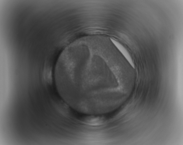 X0000095920267200802081119