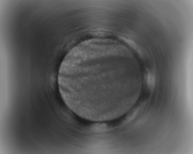 X0000095920271200802081119