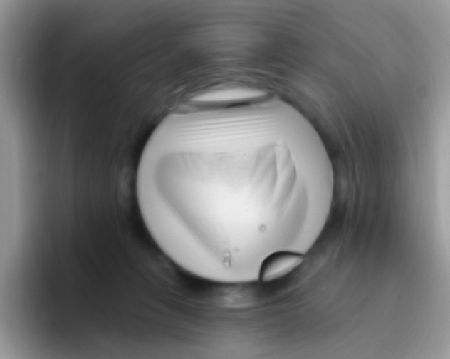 X0000095920275200802081119