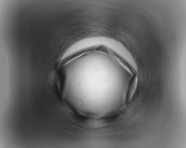 X0000095920276200802081119