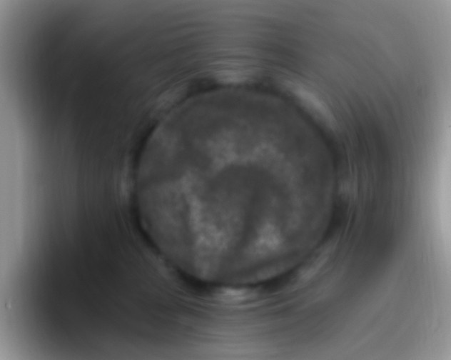 X0000095920277200802081119