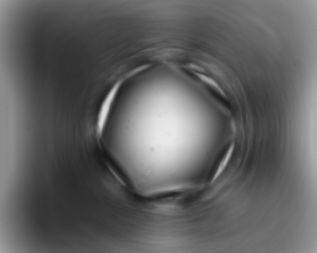 X0000095920284200802081119