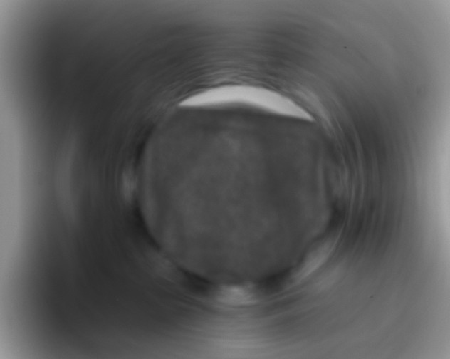 X0000095920285200802081119