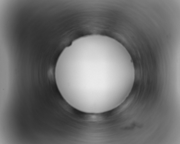 X0000095920286200802081119