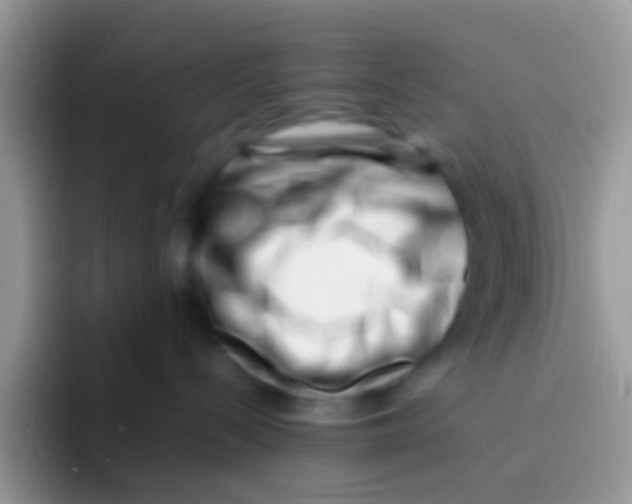 X0000095920288200802081119