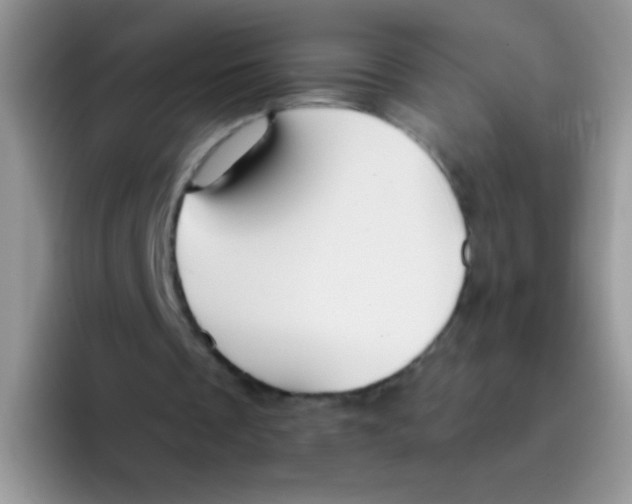 X0000095920289200802081119