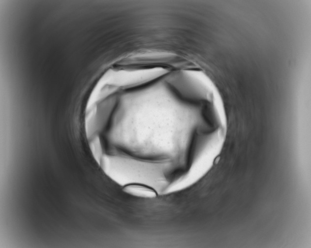 X0000095920290200802081119